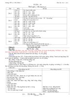 Thiết kế bài dạy lớp 1 - Tuần 14 - Trường TH số 2 Hoà Bình 2