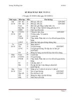 Giáo án lớp 3 Tuần 11 - GV: Trương Thị Hồng Lắm