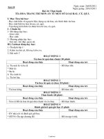 Giáo án Công nghệ Lớp 6 - Tiết 59, Bài 24: Thực hành Tỉa hoa trang trí món ăn từ một số loại rau, củ, quả - Năm học 2010-2011