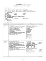 Giáo án môn Tiếng Anh 11 - Unit 13 Lesson: consolidation - Period 103: Preparation