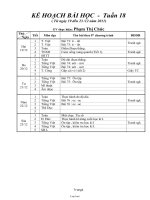 Giáo án Lớp 1 - Tuần 18 - Phạm Thị Chúc