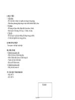 Giáo án Mĩ thuật 6 - Trang trí chiếc khăn đặt lọ hoa