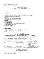 Giáo án môn Sinh vật 7 bài 38: Thằn lằn bóng đuôi dài