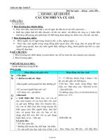 Giáo án lớp 6 môn Giáo dục công dân - Tiết 28: Quyền được pháp luật bảo hộ tính mạng, thân thể, sức khoẻ, danh dự và nhân phẩm