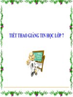 Bài giảng Tin học 7 Tiết 6 - Bài 2: Các thành phần chính và dữ liệu trên trang tính (tiếp theo)