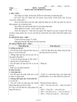 Giáo án Tiếng Việt 5 - Tuần 21 - Trường TH Hồ Phước Hậu