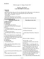 Giáo án dạy Lớp 3 Tuần 8 (83)