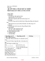 Giáo án Lớp 6 - Môn toán Số học - Năm 2010