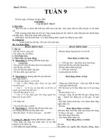 Giáo án các môn khối 3 - Tuần 9 - Nguyễn Thị Hạnh