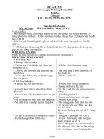 Giáo án tổng hợp lớp 3 - Tuần 35 năm học 2012