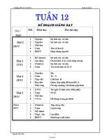 Giáo án Lớp 2 tuần 12 - Trường TH số 2 Cát Tài