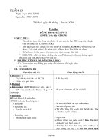 Kế hoạch bài dạy lớp 2 - Tuần dạy 13 năm 2010