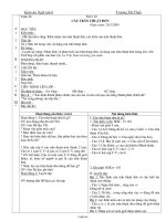 Giáo án môn Ngữ văn 6 - Tiết 110: Câu trần thuật đơn