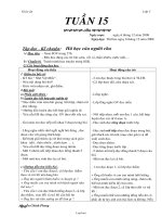 Giáo án Lớp 3 - Tuần 15 - Năm học 2008-2009 - Nguyễn Chính Phong