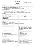 Giáo án Tổng hợp môn lớp 2 - Tuần học năm 2010