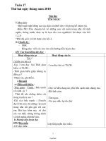 Giáo án các môn học khối lớp 2 - Tuần 17 năm học 2010