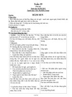 Thiết kế bài dạy lớp 1 - Tuần 29 - Văn Thị Hiền Trang