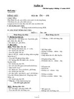 Kế hoạch bài học lớp 1 - Tuần học 12 (buổi sáng)