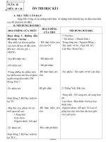 Giáo án tự chọn Ngữ văn 8 tuần 18: Ôn thi học kì I