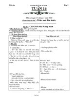 Kế hoạch bài dạy lớp 2 - Tuần dạy 16 (chuẩn)