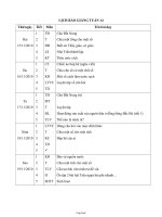 Giáo án Mĩ thuật lớp 3 - Tiết 28: Tăng cường thực hành vẽ trang trí: Vẽ tiếp hình và vẽ màu