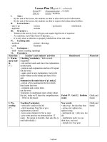 Giáo án môn Tiếng Anh 11 - Unit 13 Lesson: Hobbies - Period 97: Preparation