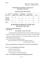 Đề thi kiểm tra định kì cuối học kì II môn Tiếng việt lớp 2