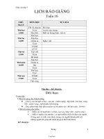 Giáo án Tổng hợp các môn khối 3 - Tuần 16