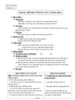 Giáo án Công nghệ Khối 6 - Tiết 27: Trang trí nhà ở bằng cây cảnh và hoa