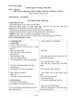 Giáo án Tuần 29 - Buổi chiều - Lớp 3