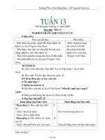 Giáo án các môn khối 1 - Trường TH Lê Thị Hồng Gấm - Nguyễn Thị Liên - Tuần 13