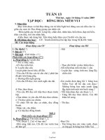 Giáo án Lớp 2 tuần 13 - Trường Tiểu học Phan Bội Châu