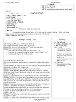 Giáo án Ngữ văn 8 - Tuần 19 - Trường THCS ĐaKai