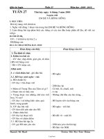 Giáo án Luyện Lớp 3 - Tuần 27 - Năm học 2009-2010 - Nguyễn Bá Mạnh