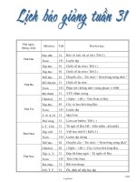 Thiết kế bài dạy lớp 2 - Tuần học 31