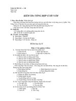 Giáo án Ngữ văn 8 Tuần 36 - Tiết 141, 144: Kiểm tra tổng hợp cuối năm