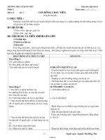 Giáo án Ngữ văn 6 - Nguyễn Thị Hồng Tím