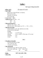 Giáo án dạy Tuần 01 - Lớp 1