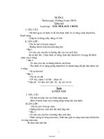 Giáo án buổi chiều Lớp 1 - Tuần 2 - Năm học 2009-2010
