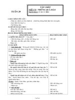 Giáo án Tập chép - Tiết 75: Những quả đào