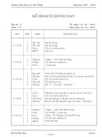 Giáo án lớp 3 - Tuần 19 - Trường tiểu học số 2 Cát Trinh