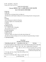 Giáo án môn Sinh vật 7 bài 57: Đa dạng sinh học