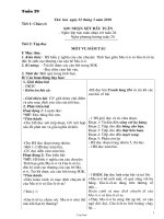 Kế hoạch bài học lớp 1 - Tuần dạy 29 năm 2010