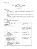 Giáo án các môn lớp 2 - Học kì II - Tuần 23