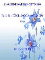 Bài giảng Hình học 7 Tiết 18 - Bài 1: Tổng ba góc của một tam giác ( tiếp)