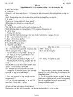 Giáo án lớp 6 môn Giáo dục công dân - Tiết 16, 17: Ngoại khóa về an toàn giao thông và phòng chống cháy nổ trong dịp tết