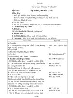 Giáo án các môn học lớp 2 - Tuần lễ 12 năm học 2010