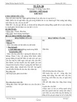 Giáo án Tổng hợp các môn học lớp 2 - Trường Tiểu học Lê Văn Tám - Tuần 28