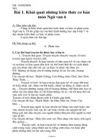 Giáo án phụ đạo Ngữ văn 7 - Bài 1, 2, 3