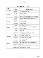 Giáo án Tổng hợp Lớp 2 - Tuần 31 - Năm học 2005-2006